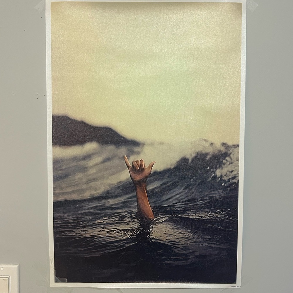 Amazon Ocean Wave Hand Gesture Wall Art - Blue and Brown